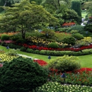 Petunia's Property Care - Landscaping & Lawn Services