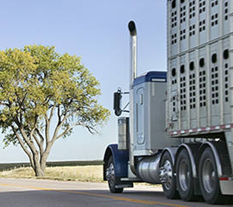 Truck Art Trailers Pty Ltd - Bomen, NSW