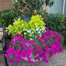 Southern Pride Landscaping