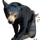 Dew River Taxidermy - Taxidermists