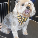 Furrever Friends Pet Boutique & Grooming Salon - Pet Stores