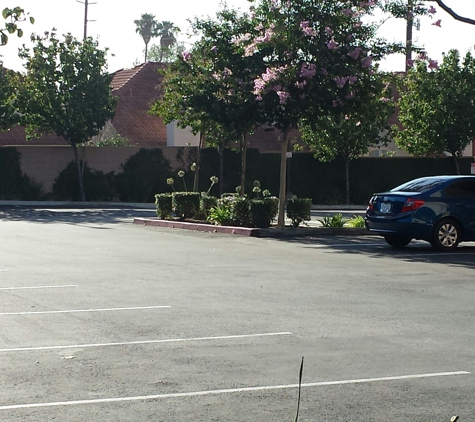 Century Accountancy Corp. - Temple City, CA. Private parking lot