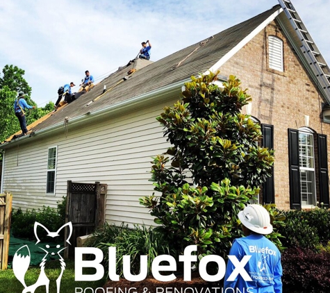 Blue Fox Roofing & Renovations - Charlotte, NC