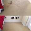 Full Steam Carpet Cleaning & Restoration gallery