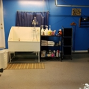 Yvette's Grooming Room - Pet Grooming