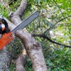 Arbor Doctor Tree Service gallery