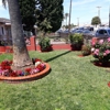 Jessy landscaping gallery