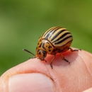 Round The Clock Pest Control Inc - Pest Control Equipment & Supplies
