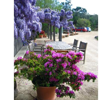 Kates Berry Farm - Swansea, TAS