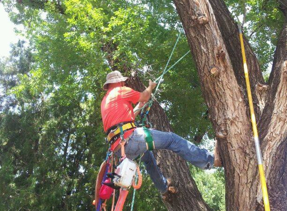 Red Arbor Tree Care - Oklahoma City, OK