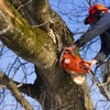 Johnson's Tree Service & Stump Grinding gallery