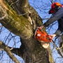 Johnson's Tree Service & Stump Grinding