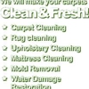 Brooklyn Carpet Cleaning CO gallery