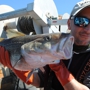 New England Fishmongers