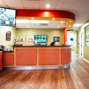 American Braces & Smile Center Orthodontics - Orthodontists