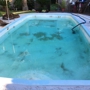 Ruiz Fiberglass Pool Repair