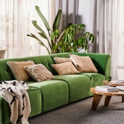 Gallery Image Number 8