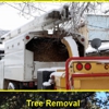 Mike's Tree Service gallery
