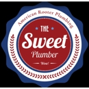 American Rooter Plumbing - Plumbing-Drain & Sewer Cleaning