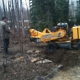 Joe's Stump Grinding