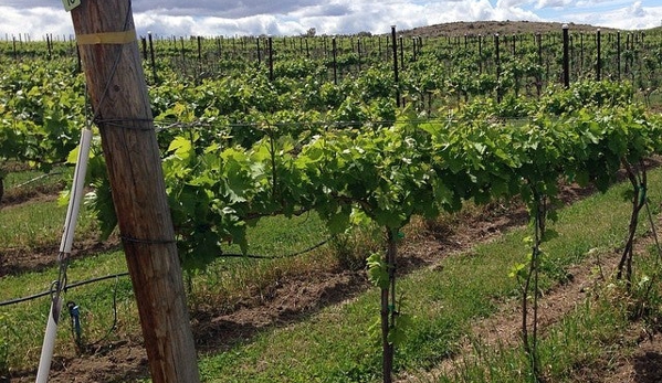 Tasting Room at Wilridge Vineyard - Yakima, WA