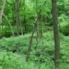 Kendall County Forest Preserve District gallery