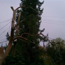 nix family tree service - Tree Service