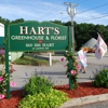 Hart's Greenhouse & Florist gallery