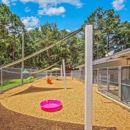 Fayetteville Pet Resort - Kennels