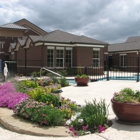 Dr Green Thumb Landscapes