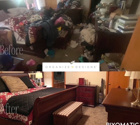 Organize By Designe - Plano, IL. Helping those overwhelmed with their space for over 12 years.