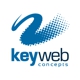 Key Web Concepts