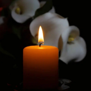 Divinity Cremations - Menai, NSW