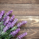 Ashley Vaughan, LMT - Massage Therapists
