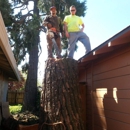 Trees N More - Stump Removal & Grinding