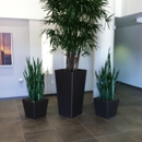 Pacific Plantscapes Inc - Plants-Interior Design & Maintenance