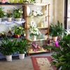 Stetson Flowers of Deltona Inc gallery