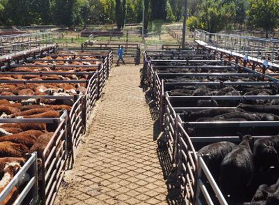 Monaro Livestock & Property Pty Ltd