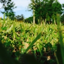 T&T Enterprises of SC LLC - Landscaping & Lawn Services