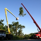 Chattanooga Tree Service Inc