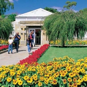 Gallery Image Number 1