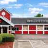 Red Lobster gallery