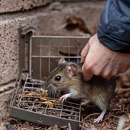 Buckmaster Pest Control - Pest Control Equipment & Supplies