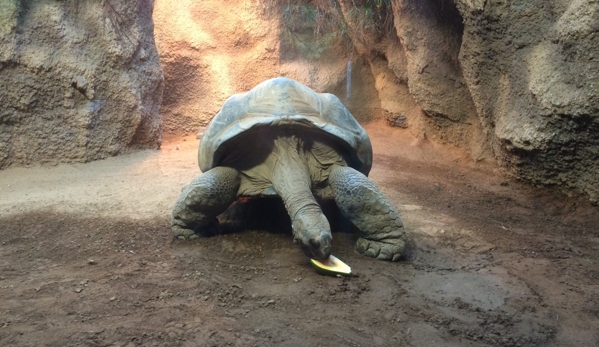 Clyde Peeling's Reptiland - Allenwood, PA