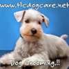 TLC Dog Care gallery