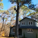 Tree Fellers