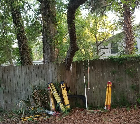 Greenwise Tree Services - Jacksonville, FL. tree through fence before