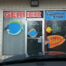 Gerber's Tropical Fish - Fish & Seafood-Wholesale