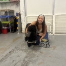 Bauser's Pet Training - Pet Training