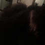 Francin's African Hair Braiding